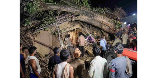 सोते परिवार पर गिरा विशाल पेड़, मां और बच्चों समेत 5 की दर्दनाक मौत